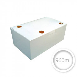 White BOX 160x100x60mm C102 - 100 pieces - PACKAGING FOR CHICKEN FRIES CHURROS NUGGETS